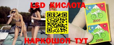 гашик Бузулук