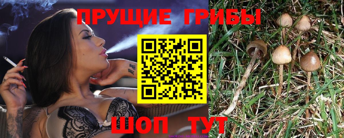 Галлюциногенные грибы GOLDEN TEACHER Серов