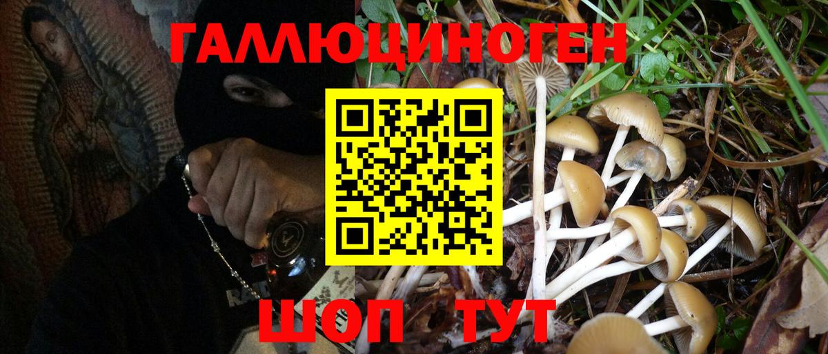 Серов  Галлюциногенные грибы Magic Shrooms  Вход с VPN  Псилоцибиновые грибы Cubensis 